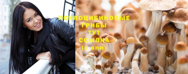 ешки Абинск