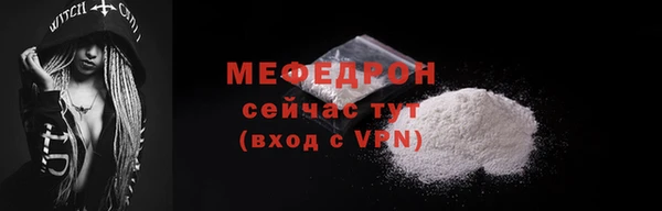 шишки Новодвинск