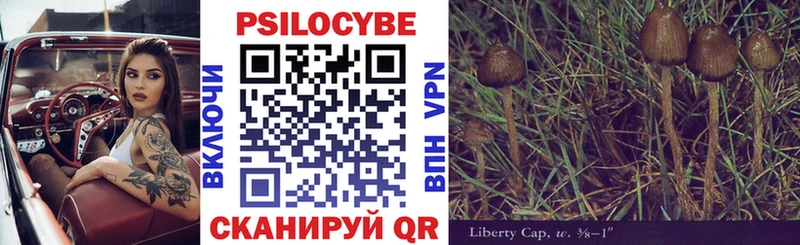 купить наркотики сайты  Бирюсинск  Галлюциногенные грибы MAGIC MUSHROOMS 